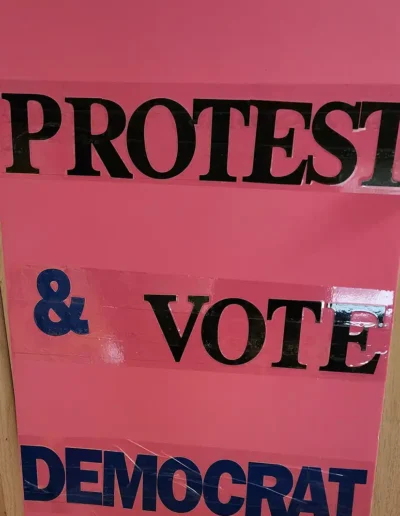 protest & vote democrat