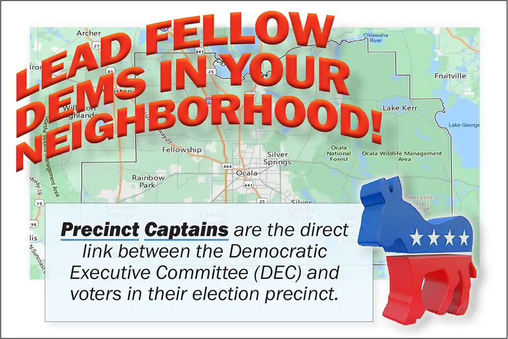 Be a precinct captain